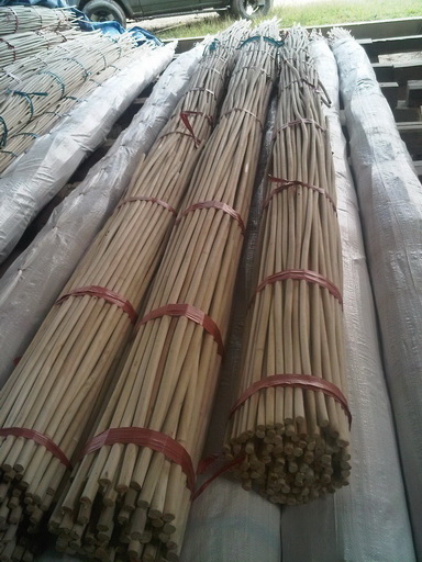 RATTAN CANE, CORE  RAW MATERIAL